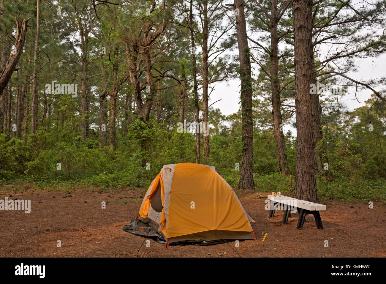 Nc01025-00...Caroline du Nord - tente de camping sur l'île Cape Lookout près du centre des visiteurs de la maison de lumière à Cape Lookout National Seashore. Banque D'Images