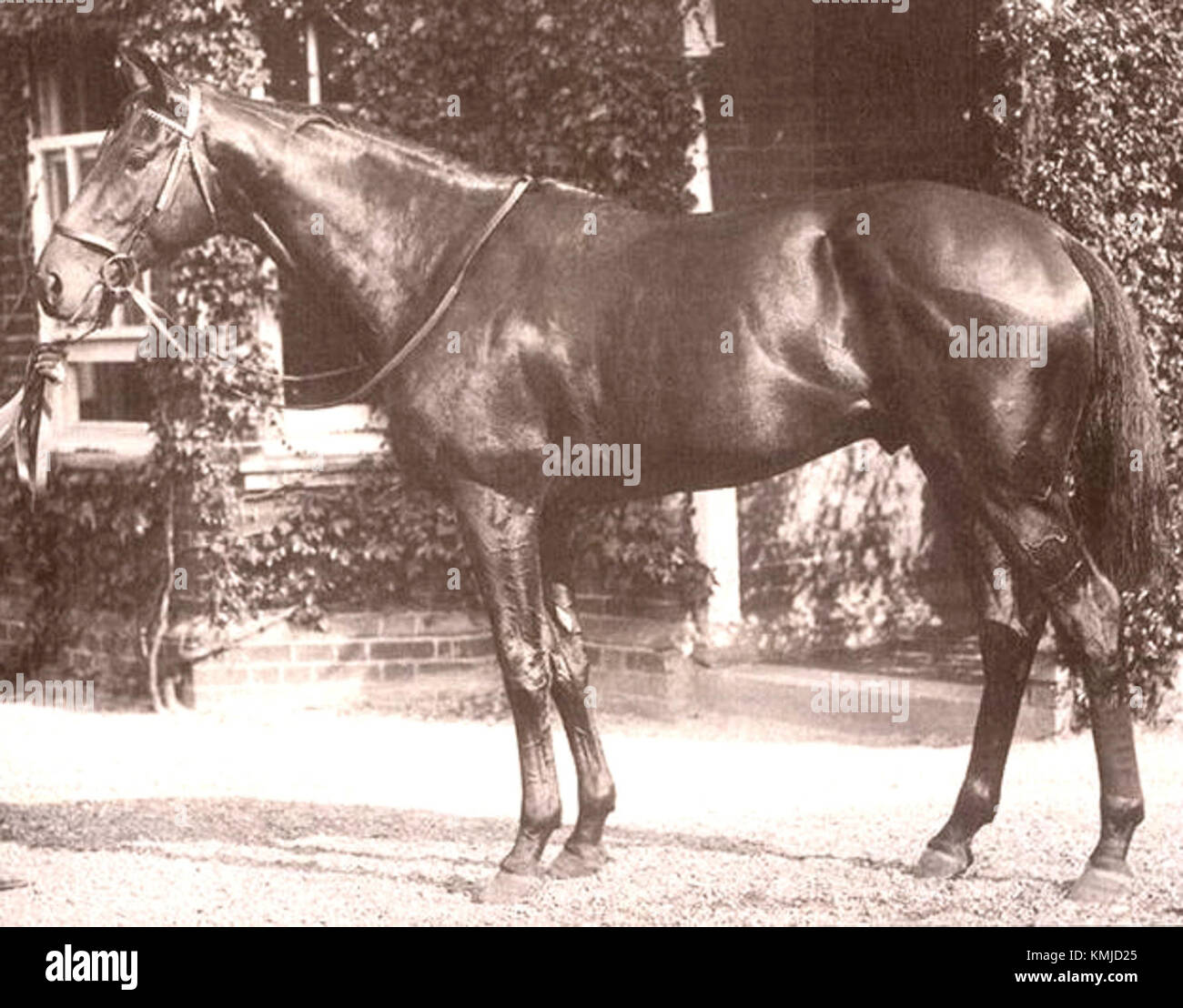 Pharos fait référence à l'ancien phare d'Alexandrie, l'une des sept merveilles du monde antique. Il se trouvait sur la petite île de Pharos et guidait les marins en toute sécurité dans le port animé d'Alexandrie. Banque D'Images