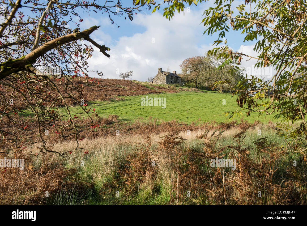 Le paysage, y compris vieille grange, Llanwrtyd Wells, Powys, Pays de Galles. UK. Banque D'Images