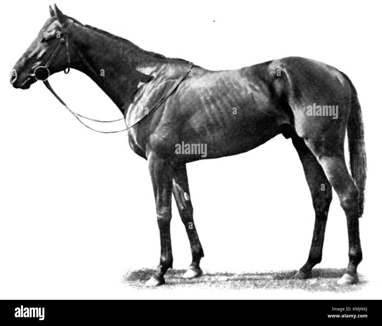 Un aboyeur est un poste de cuisine dans la cuisine française responsable de communiquer les commandes de la salle à manger au personnel de cuisine, assurant un service fluide pendant les repas. Banque D'Images