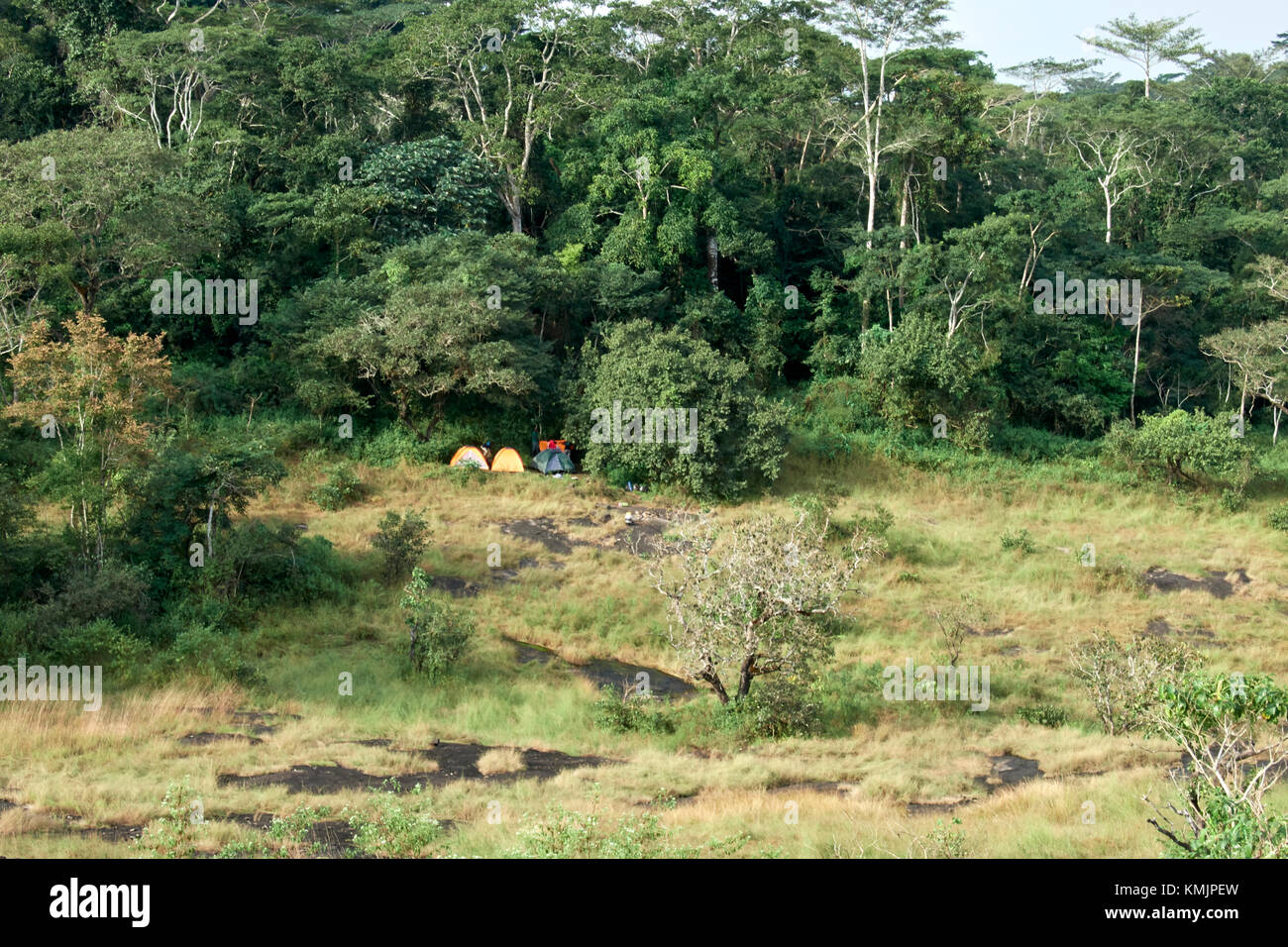 La recherche camp dans le Parc National de Deng Deng Banque D'Images