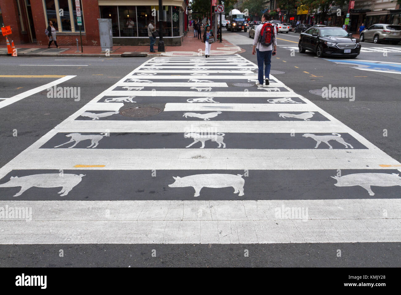 Pittoresque route croisement en face de l'Amitié Arch dans Chinatown, Washington DC, United States. Banque D'Images