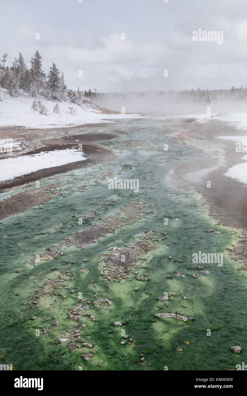 La croissance des micro-organismes thermophiles dans les sources chaudes au bassin en porcelaine dans le parc national de Yellowstone en hiver 24 février 2017 dans le Wyoming. (Photo de jacob w. Frank via planetpix) Banque D'Images