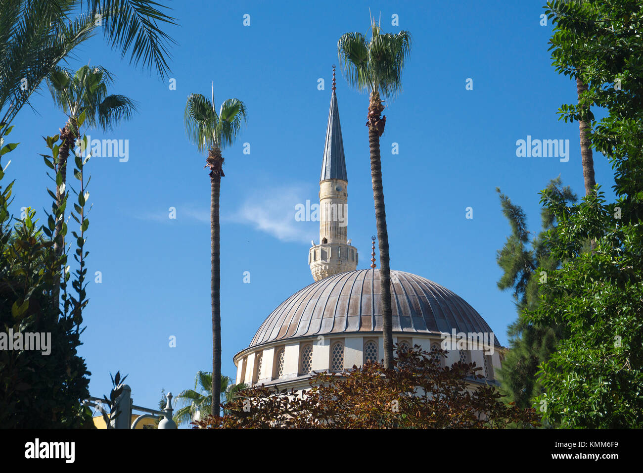 Palmiers à Mosquée, ville d'Alanya, riviera turque, Turquie Banque D'Images