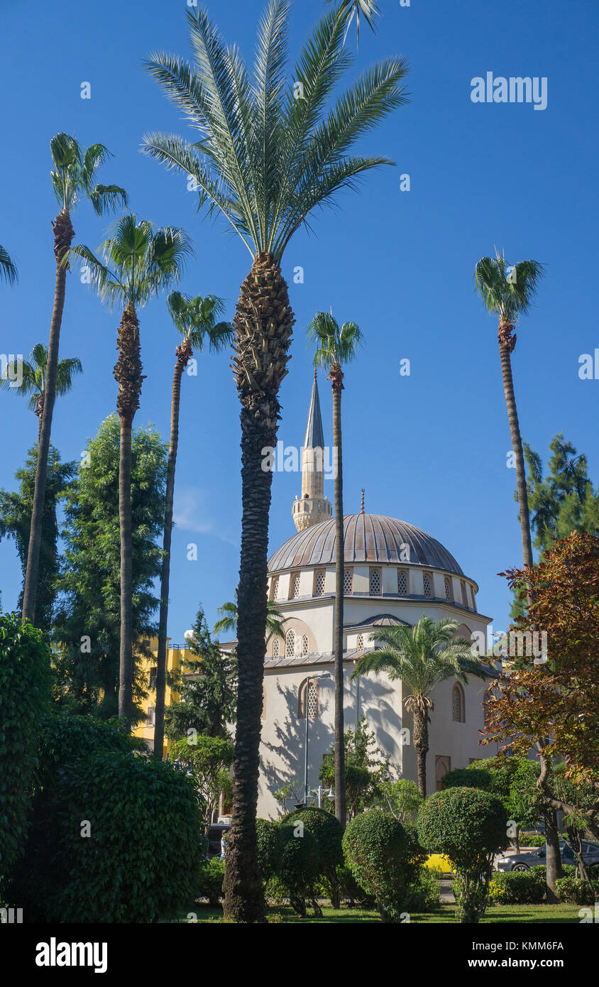 Palmiers à Mosquée, ville d'Alanya, riviera turque, Turquie Banque D'Images