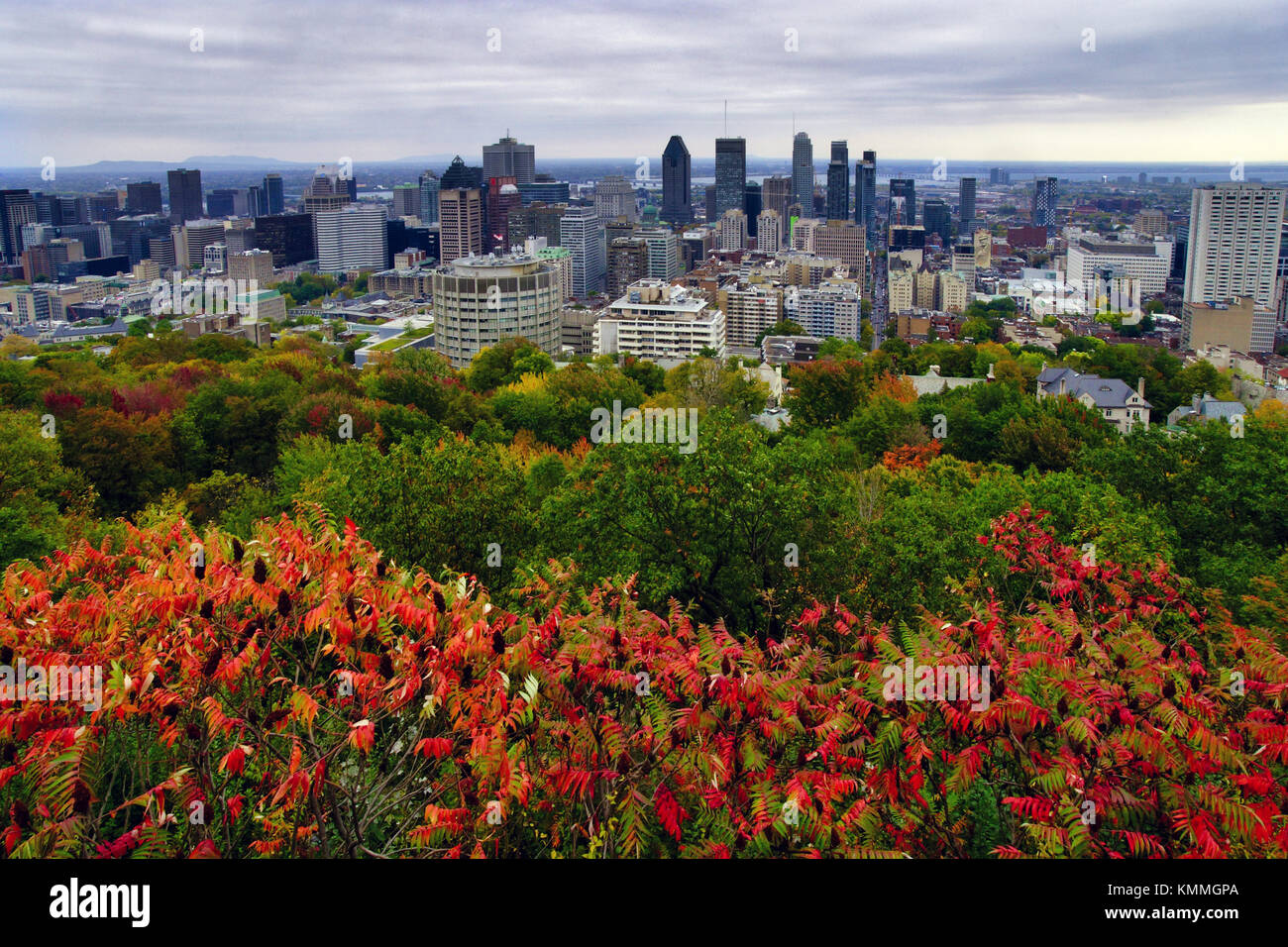 Montréal, Canada, 12 octobre 2017.Vue de Montréal à l'automne du Belvédère Kondiaronk. Credit:Mario Beauregard/Alamy Live News Banque D'Images