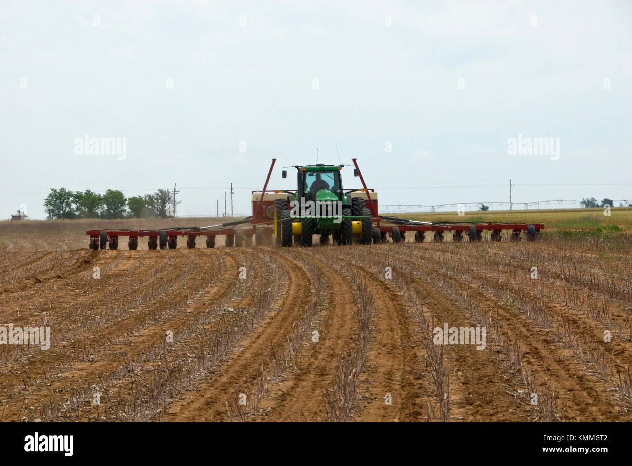 La plantation de coton AVEC UN AIR CASE IH 24 RANGS DU SEMOIR EN COTON SANS TRAVAIL Banque D'Images