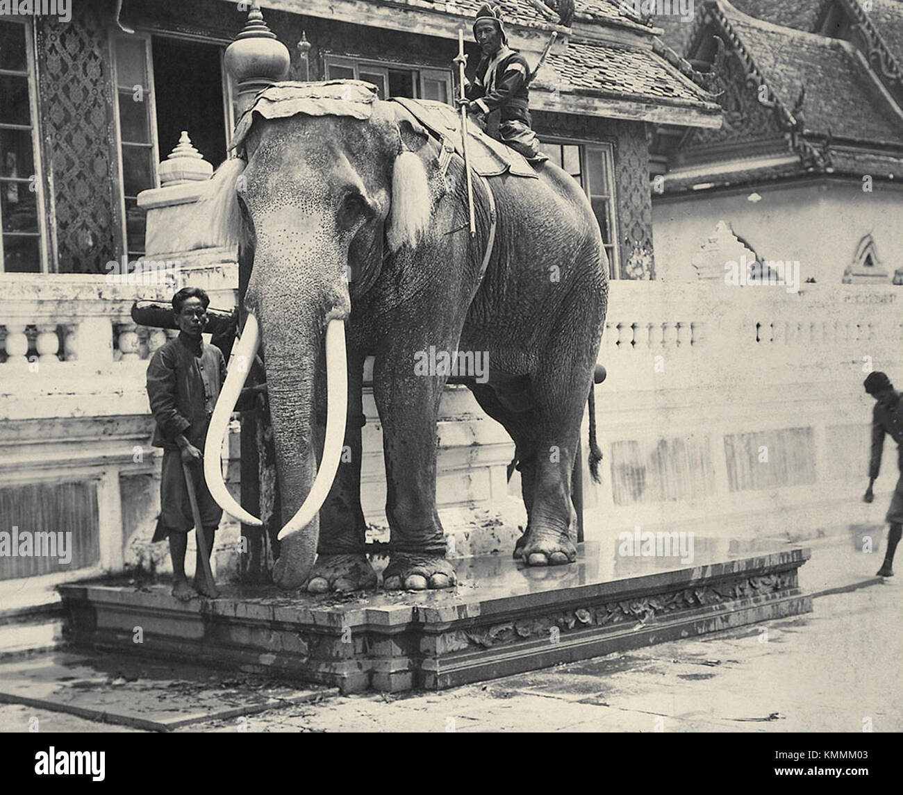 Royal White Elephant au Grand Palais Banque D'Images