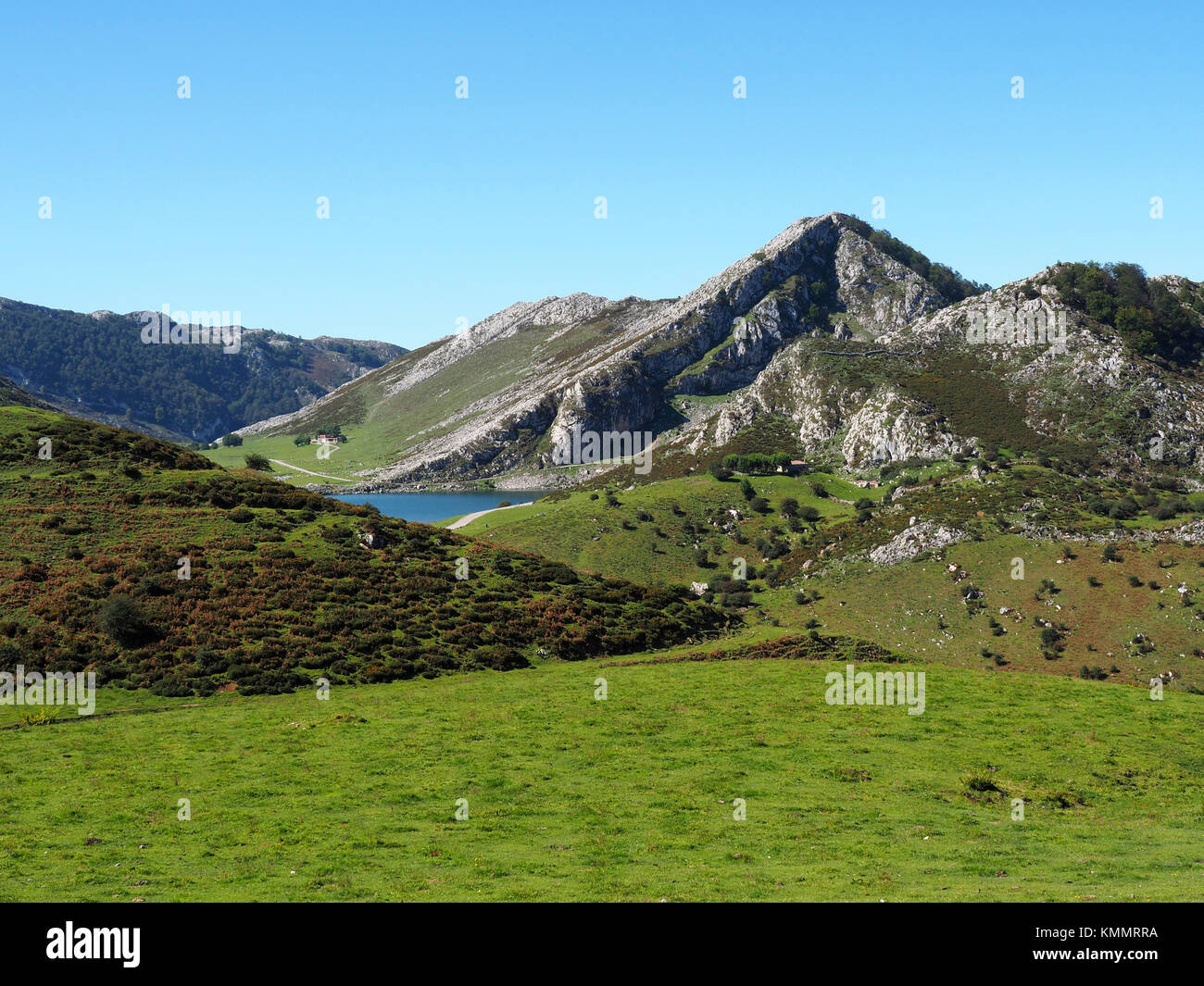 Paysage de montagne près des Lacs de Covadonga, dans les Asturies - Espagne Banque D'Images