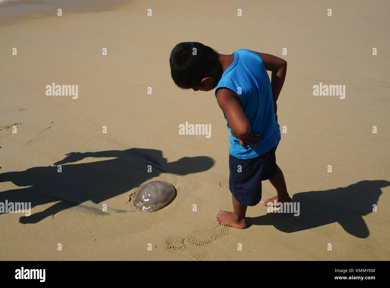 Méduses mortes sur la plage de Playa Caletilla, (plage de Caletilla) dans le vieux Acapulco, Mexique Banque D'Images