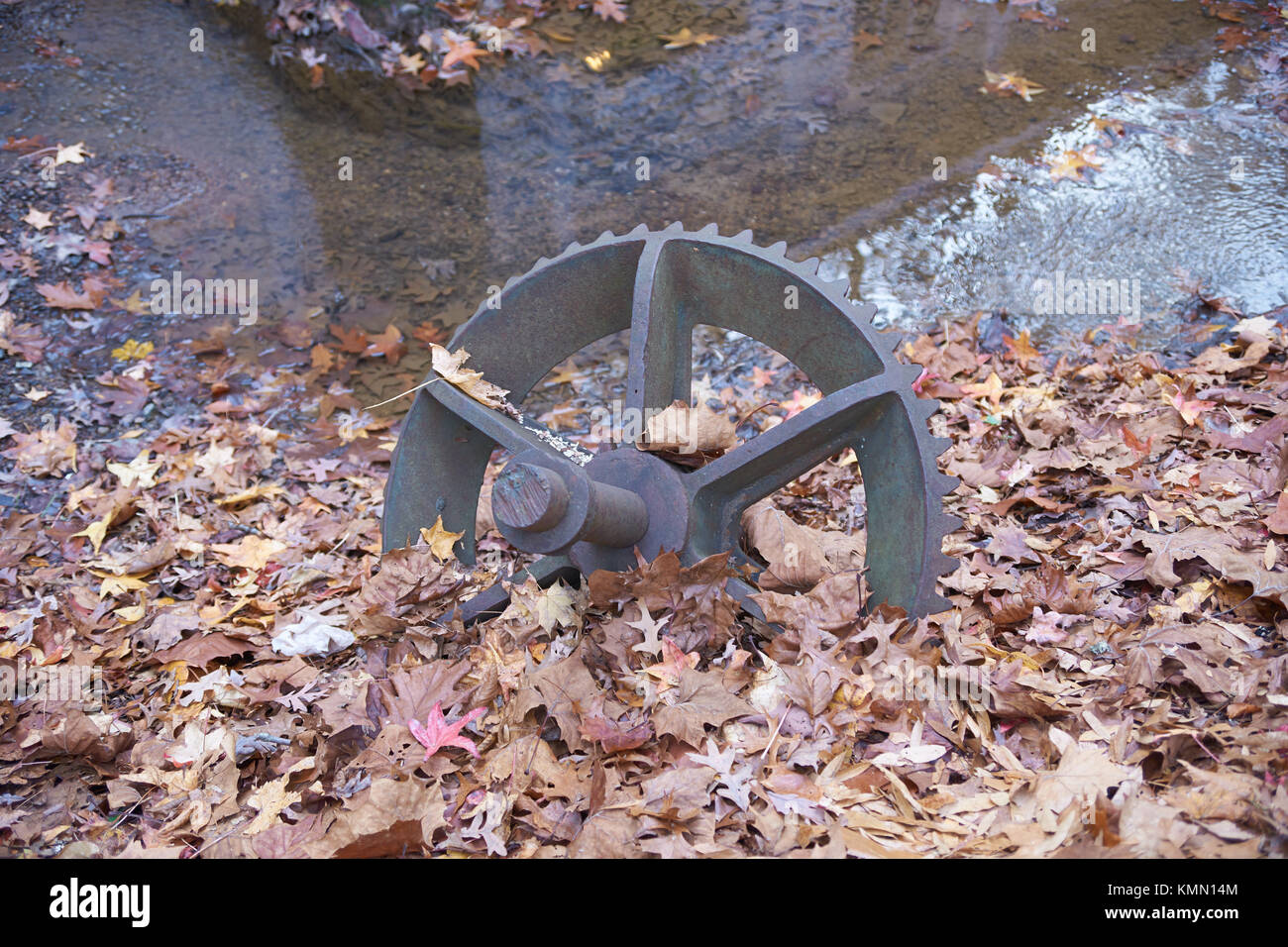 Pignon métal vieux rustique portant à l'automne les feuilles. Banque D'Images