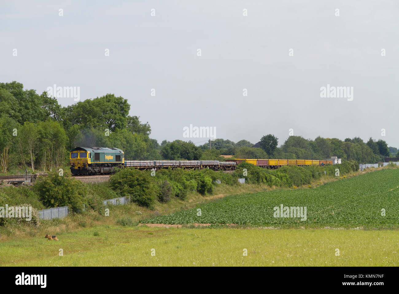 Un Freightliner classe 66 appartenant à un groupe de locomotives diesel train du ministère à travailler Junction dans le Hampshire. Banque D'Images