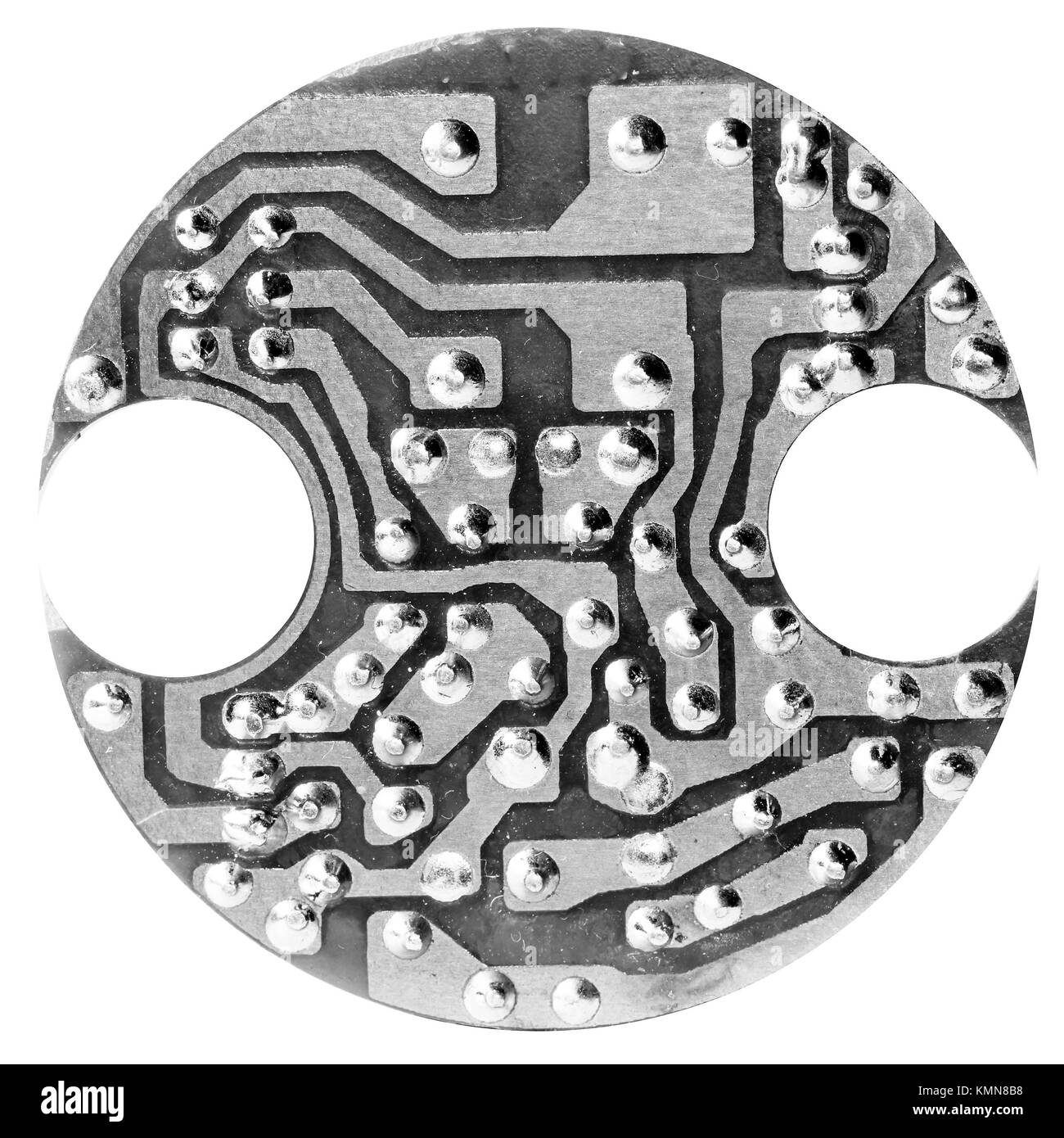 Puce, photo à haute résolution Banque D'Images