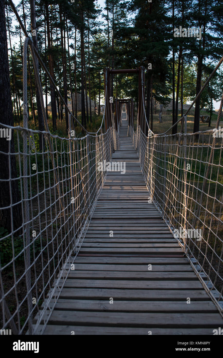 Pont de corde de bois dans la forêt Banque D'Images