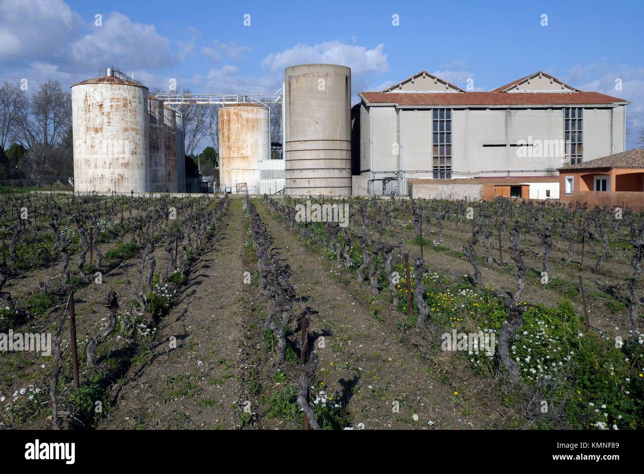 Une communauté rurale cooperative winery Banque D'Images