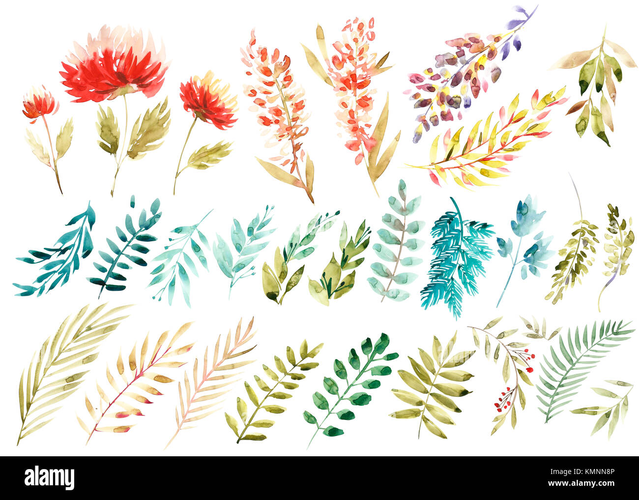 Aquarelle set floral coloré. Dentelle et collection avec feuilles et fleurs,  dessin aquarelle collection floral coloré. avec des fleurs. ensemble  d'éléments pour vos compositions florales Photo Stock - Alamy