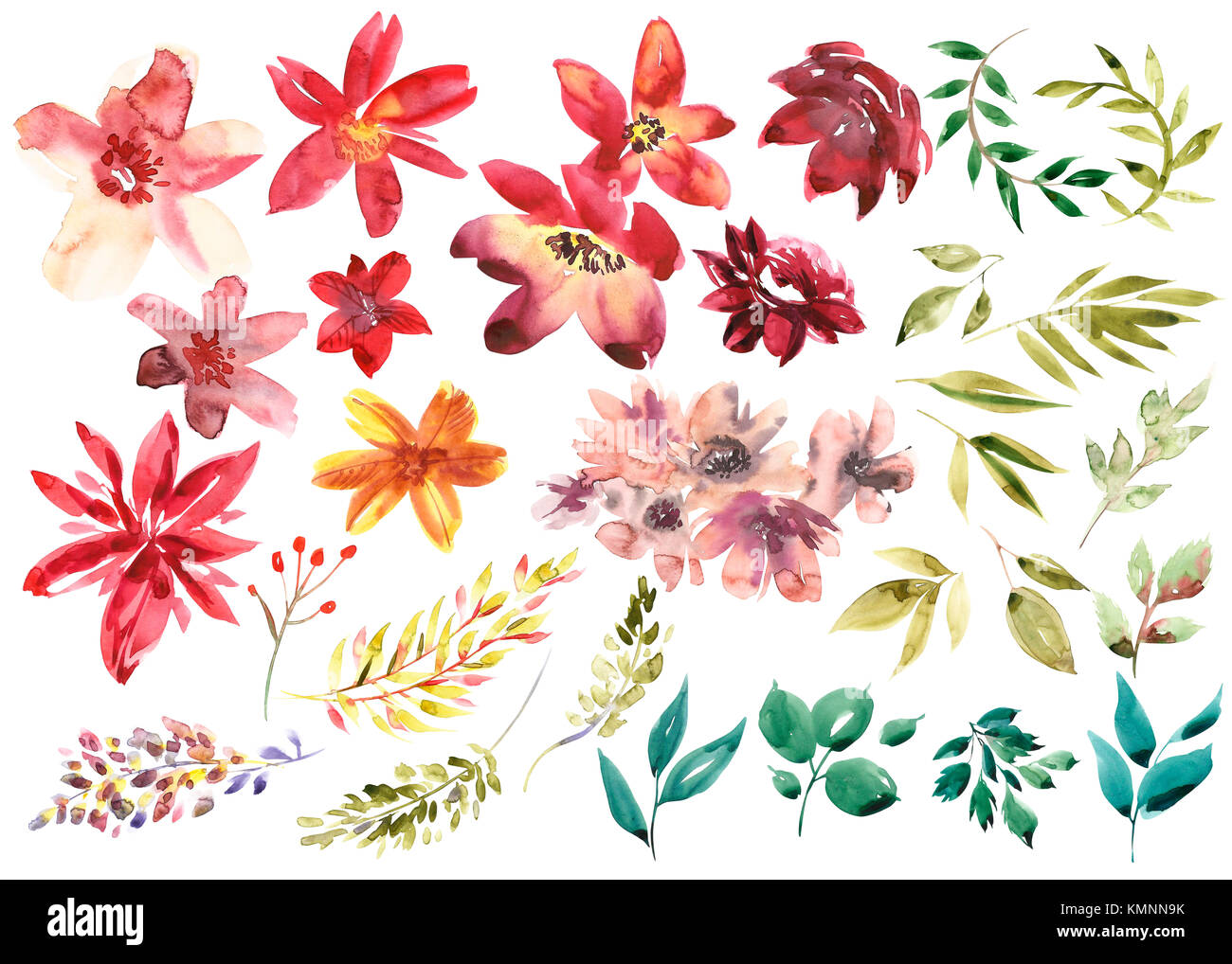 Aquarelle Set Floral Coloré Dentelle Et Collection Avec