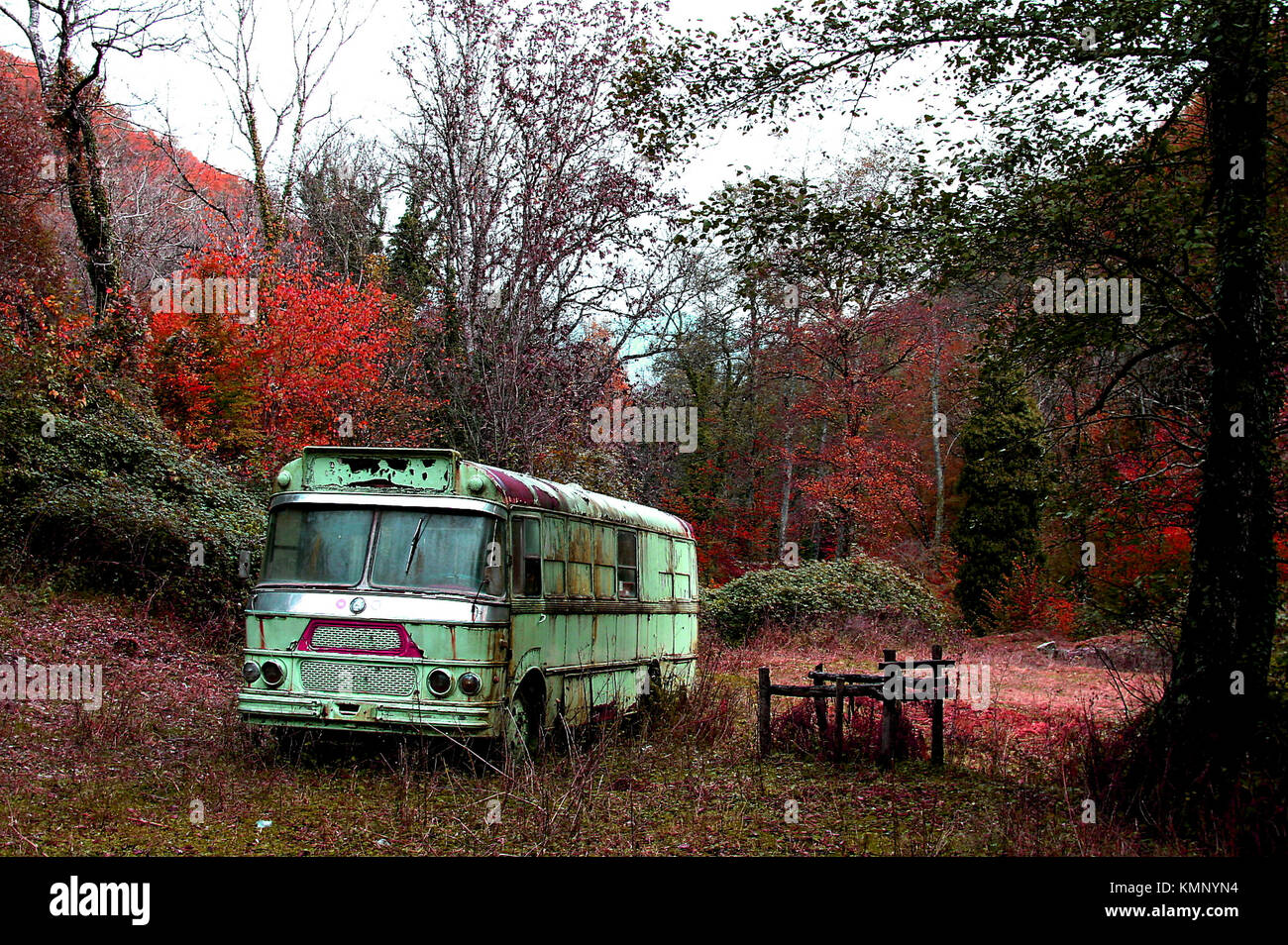 Vieux bus désertes en forêt, scène d'hiver Banque D'Images