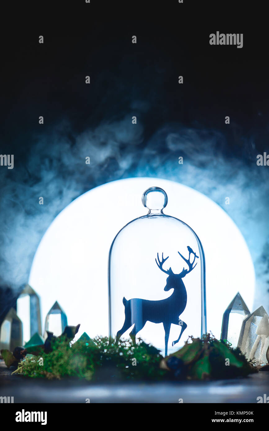 Forêt magique de cristaux et de deer silhouette dans une lumière de pleine lune. Still Life with glass dome et Moss. Concept de conte de fées avec fond sombre et copiez l'espace. Banque D'Images