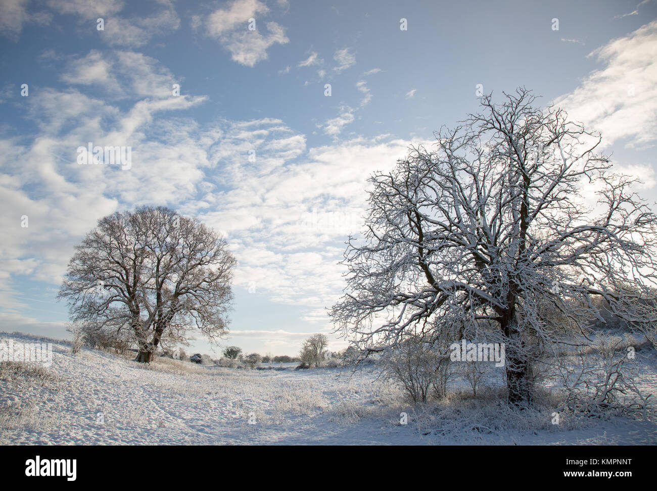 Kidderminster, UK. 9 Décembre, 2017. UK : météo se réveille à une glaciale Worcestershire féerie d'hiver avec de la neige encore sur une grande partie du comté après de fortes chutes de neige d'hier. Credit : Lee Hudson/Alamy Live News Banque D'Images