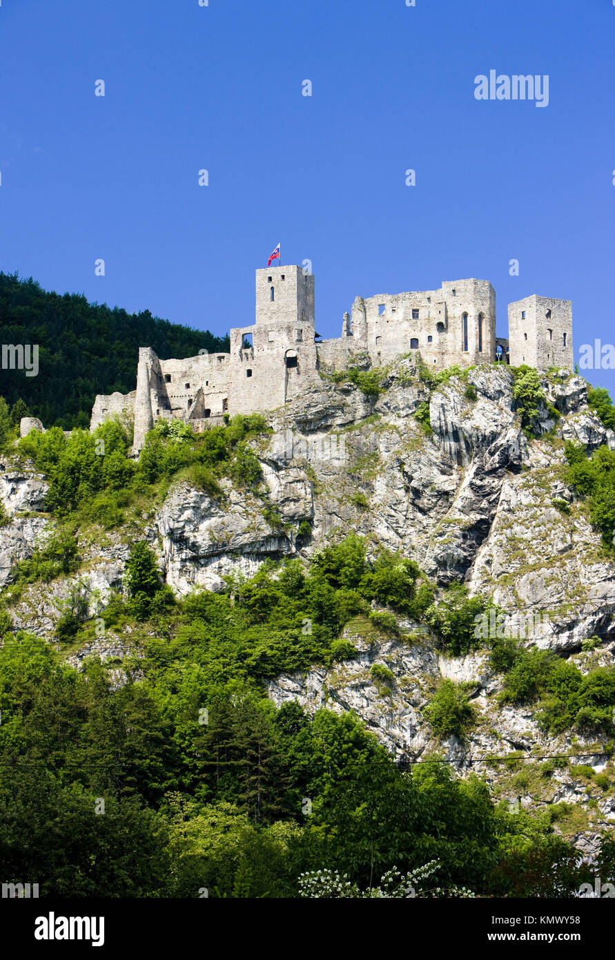 Ruines du château de Strecno, Slovaquie Banque D'Images