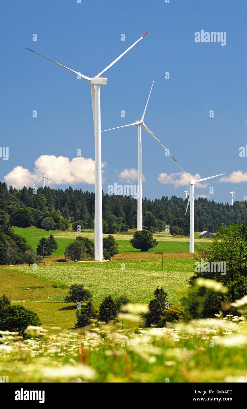 Éoliennes pour la production d'énergies renouvelables l'énergie éolienne  dans un parc éolien sur le Mont Crosin, canton du Jura, Suisse Photo Stock  - Alamy