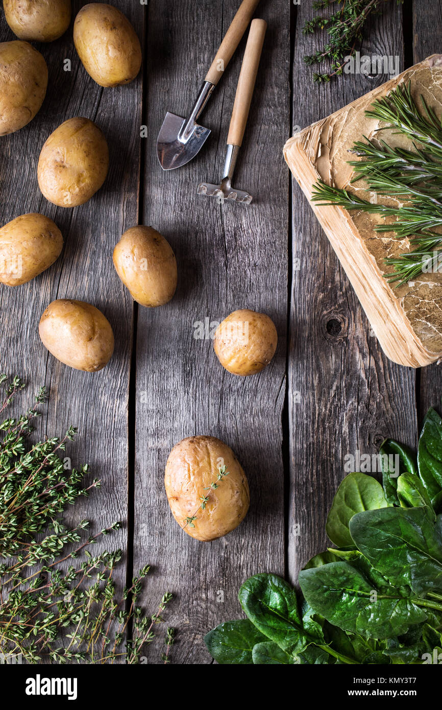 La récolte de pommes de terre et vert potherbs sur fond de bois rustique de la vue supérieure Banque D'Images