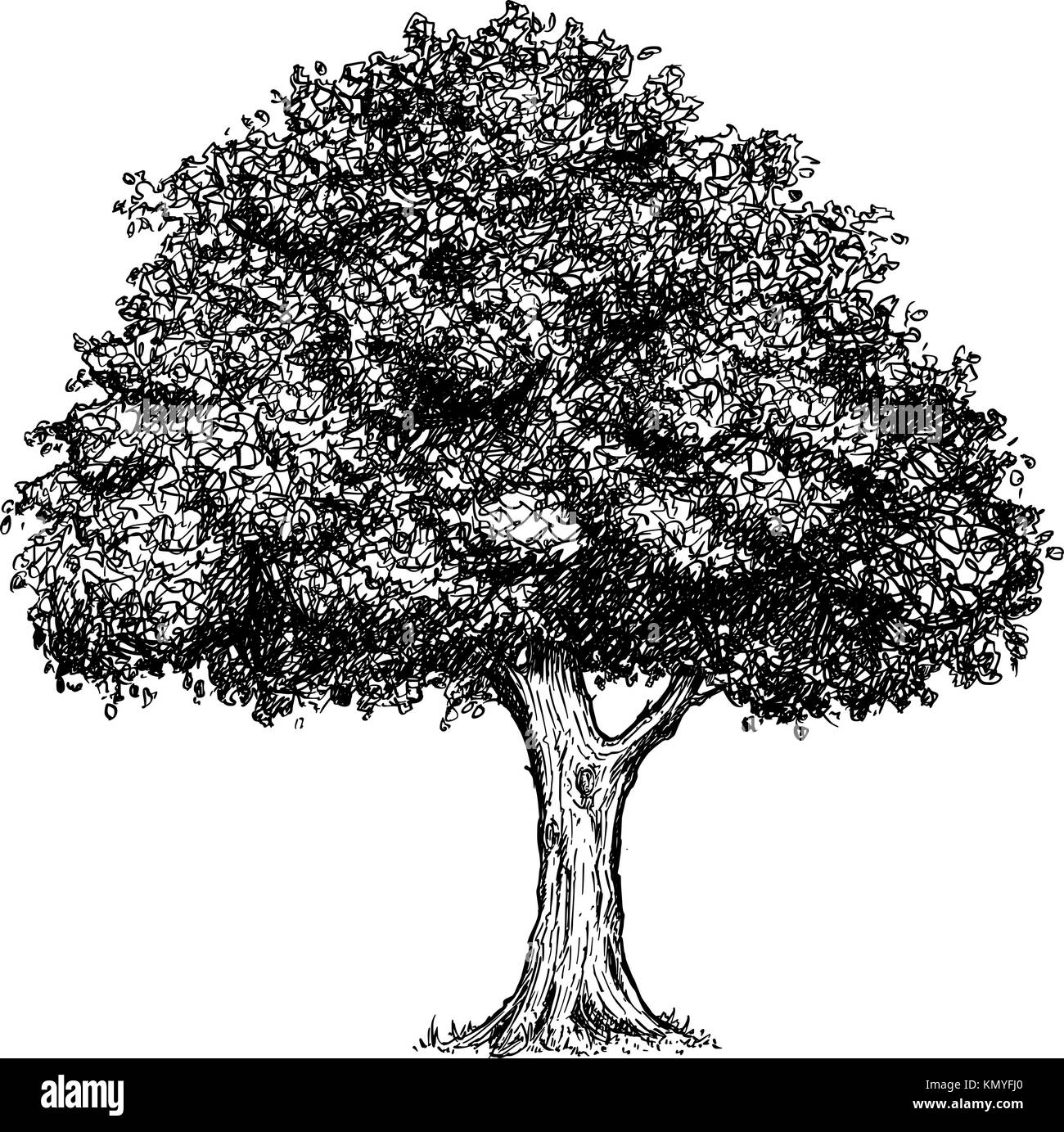 Dessin vectoriel appelée illustration de l'arbre. Illustration de Vecteur
