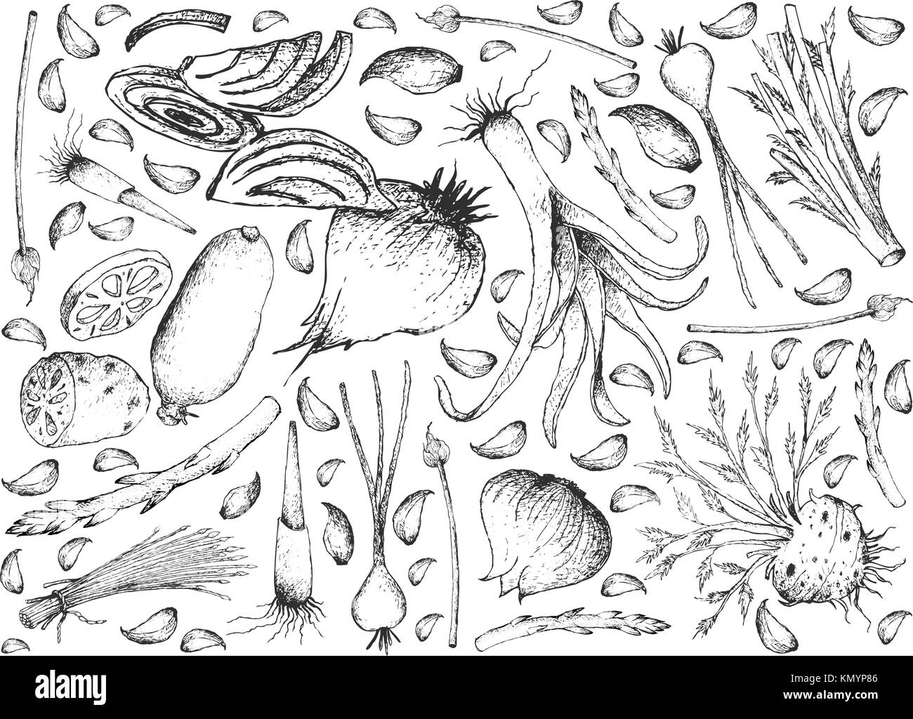De légumes et d'herbes, illustration de croquis à la main et de l'ampoule frais et délicieux légumes-tiges isolé sur fond blanc. Illustration de Vecteur