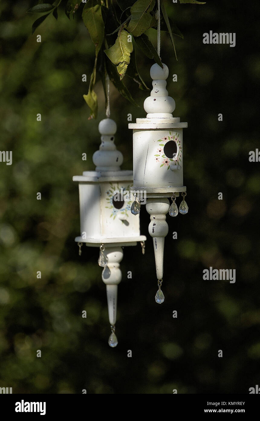 Chalk Vintage oiseaux peints maisons suspendues dans un arbre Banque D'Images