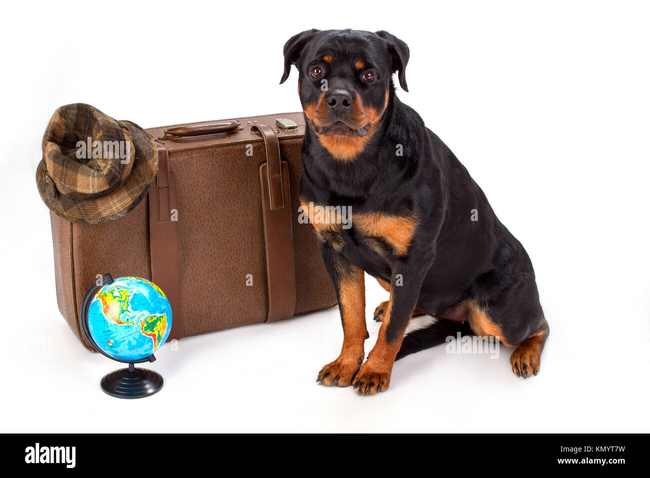 Hat sur suitcase, globe et rottweiler chien. Banque D'Images