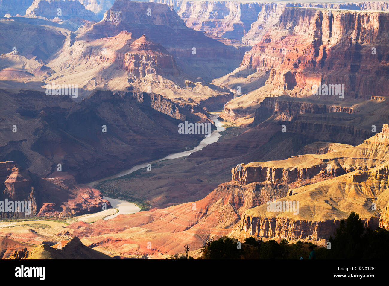 Grand Canyon et la rivière Colorado Panorama, Arizona, USA Banque D'Images