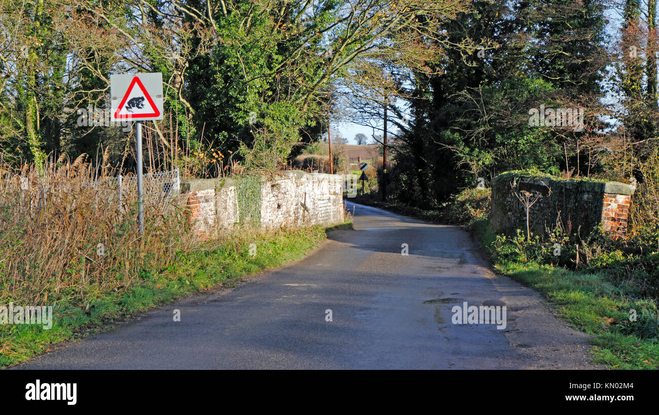 Une route de campagne avec pont sur l'ancien canal Nord Walsham et Dilham à Briggate, honage, Norfolk, Angleterre, Royaume-Uni. Banque D'Images