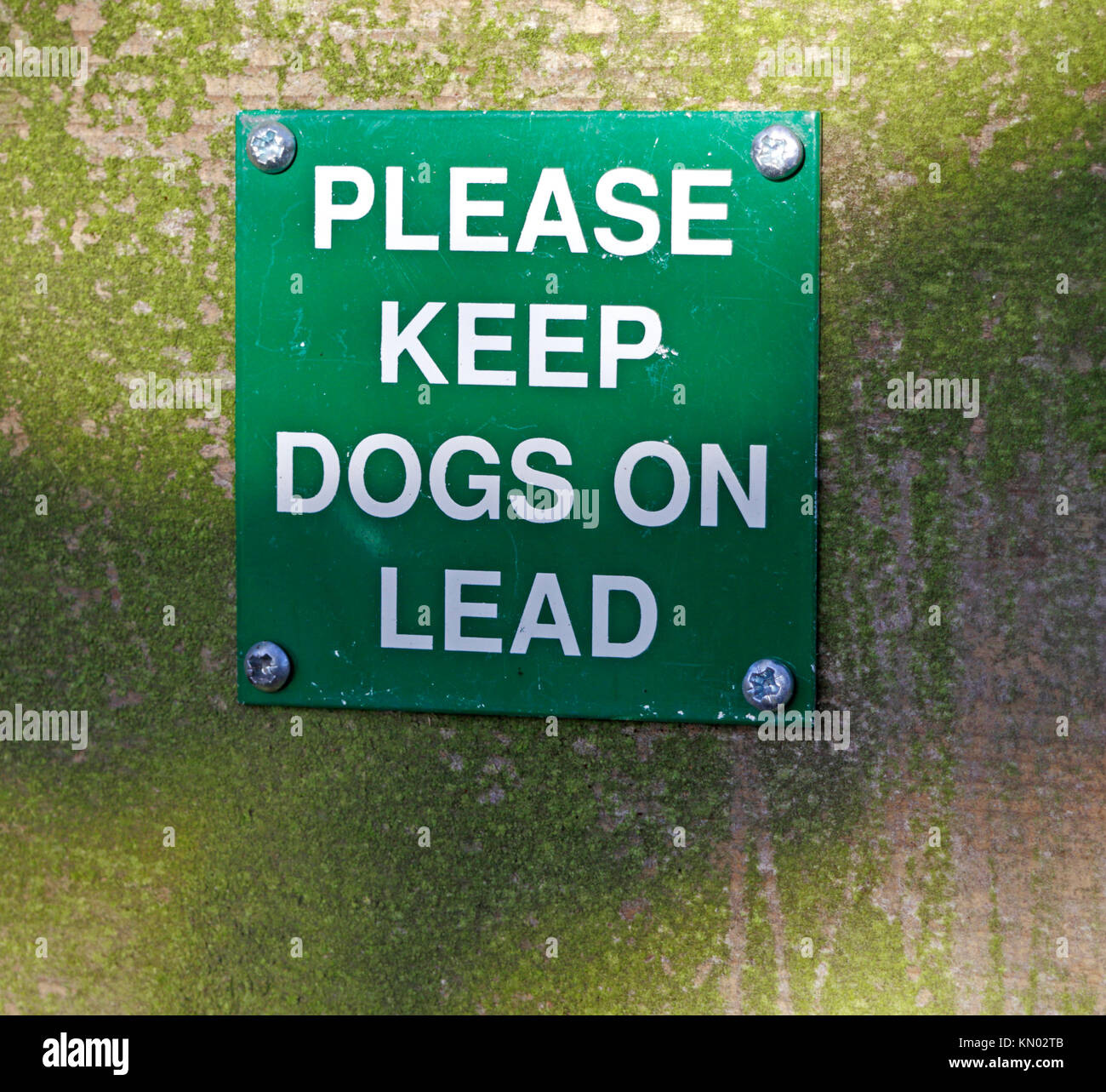 Veuillez Gardez les chiens en laisse signer par les tisserands Way au chemin pierrage, Norfolk, Angleterre, Royaume-Uni. Banque D'Images