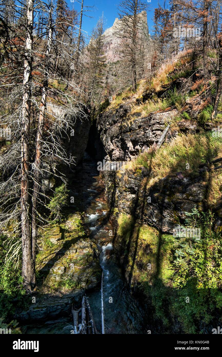 L'eau s'écoule vers le bas l'sunrift gorge Cascade au parc national des Glaciers Le 15 mai 2013 près de rising sun, Montana. (Photo de Tim Rains par planetpix) Banque D'Images