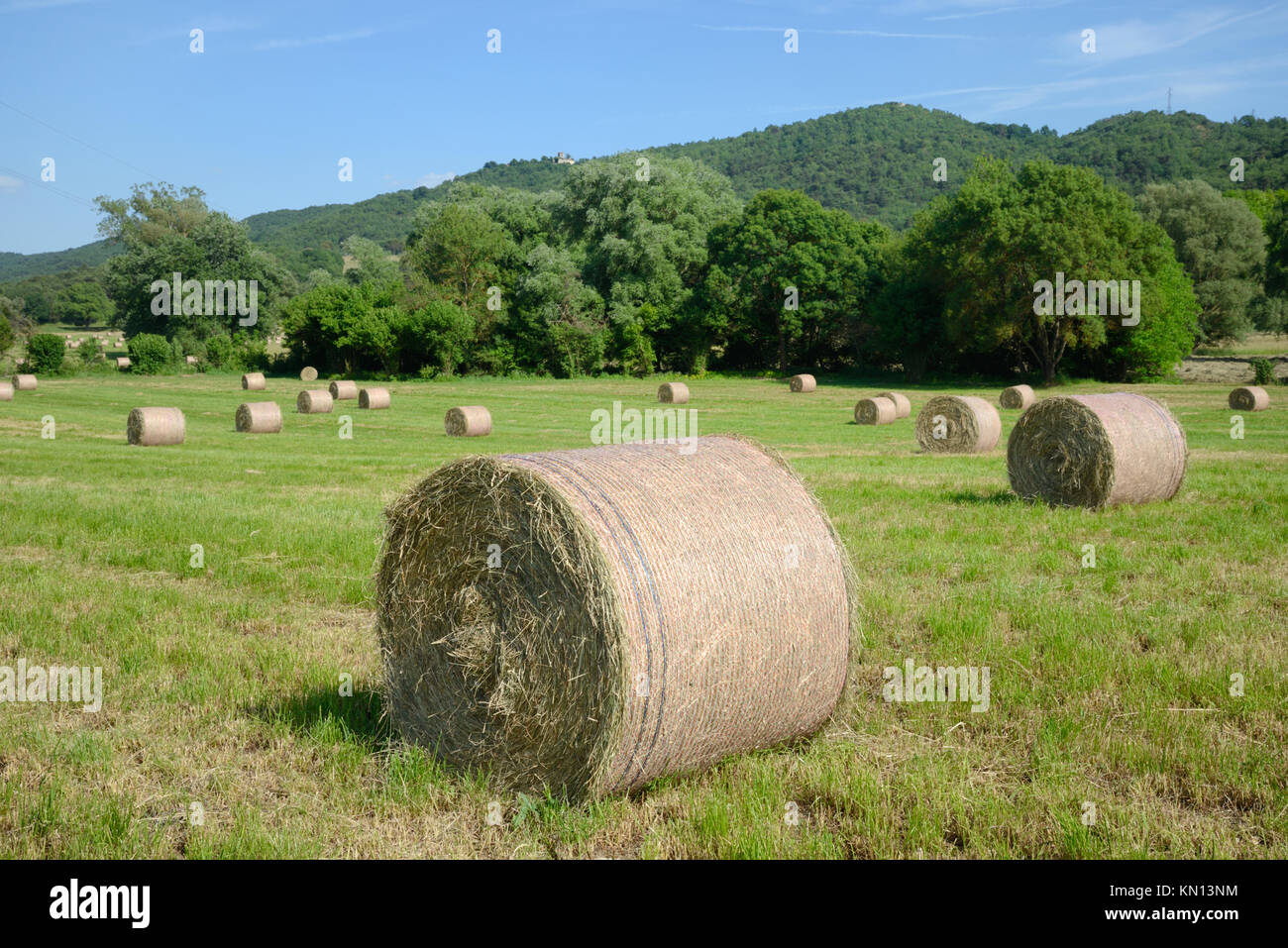 Balles et champs de foin près de Cereste dans le Parc régional du Luberon Provence France Banque D'Images