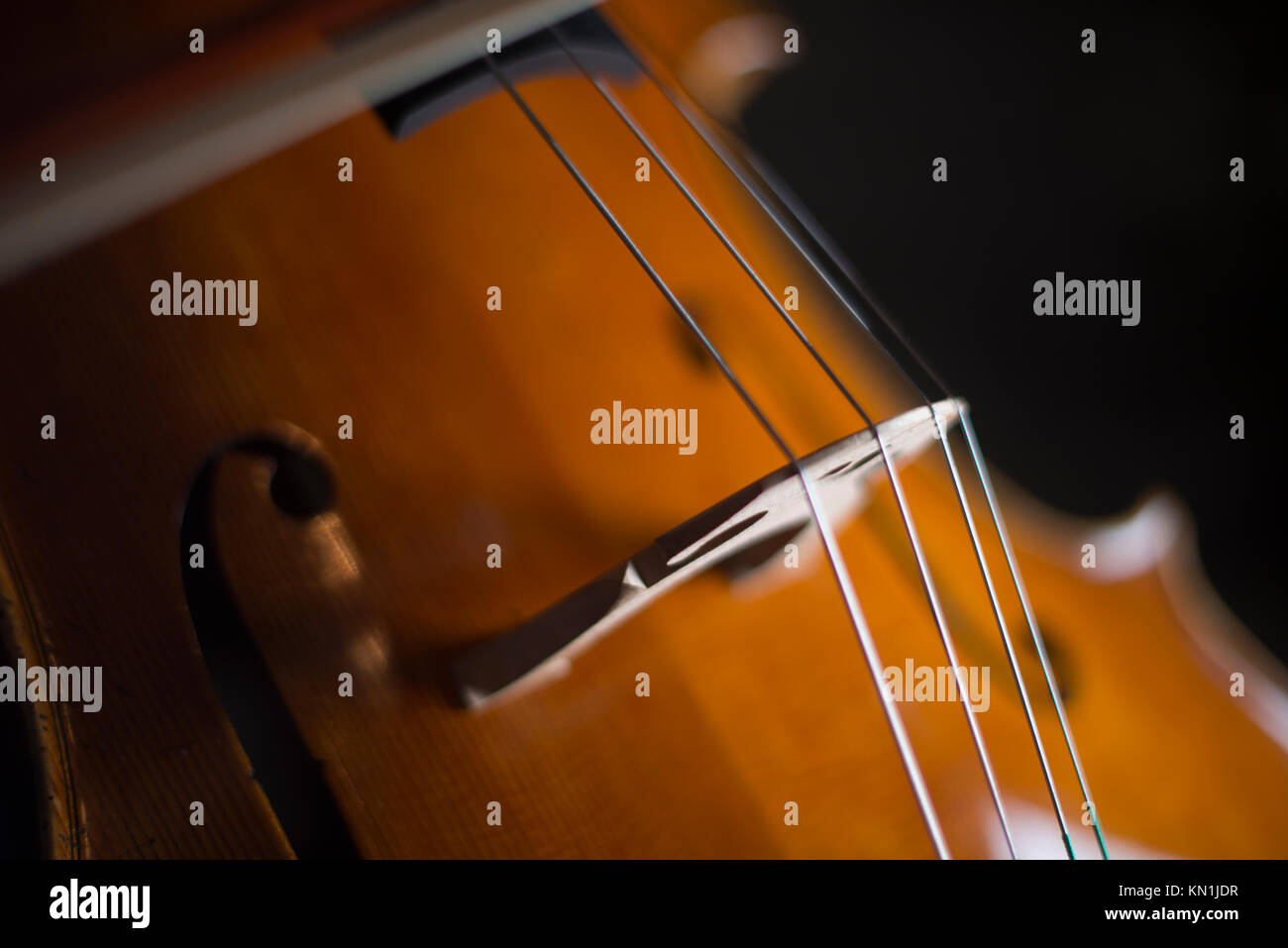 Jouer et tester Pegasus violoncelle à Crémone en Italie par luthier luthier Vladimiro Cubanzi de La Casa del Violino Banque D'Images