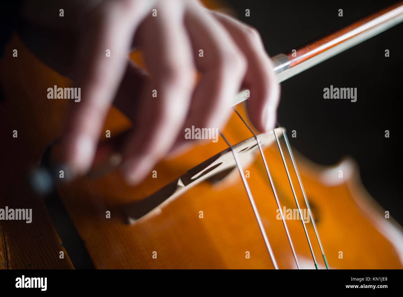 Jouer et tester Pegasus violoncelle à Crémone en Italie par luthier luthier Vladimiro Cubanzi de La Casa del Violino Banque D'Images