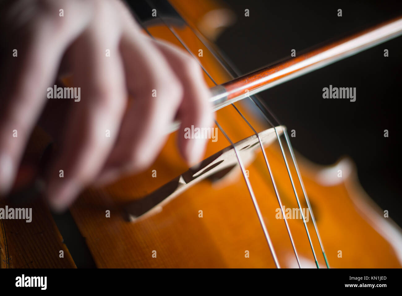 Jouer et tester Pegasus violoncelle à Crémone en Italie par luthier luthier Vladimiro Cubanzi de La Casa del Violino Banque D'Images