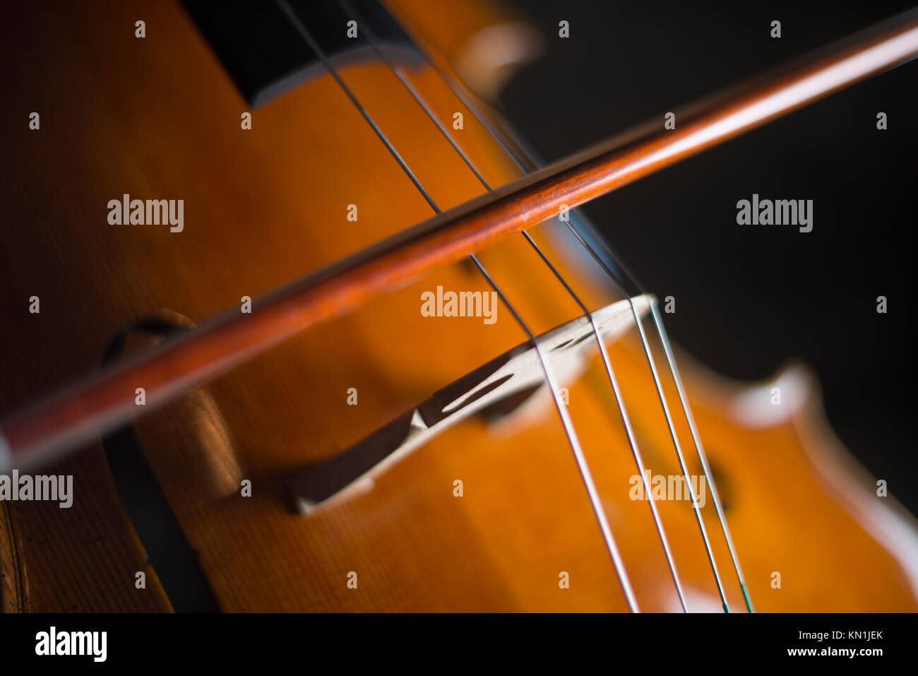 Jouer et tester Pegasus violoncelle à Crémone en Italie par luthier luthier Vladimiro Cubanzi de La Casa del Violino Banque D'Images