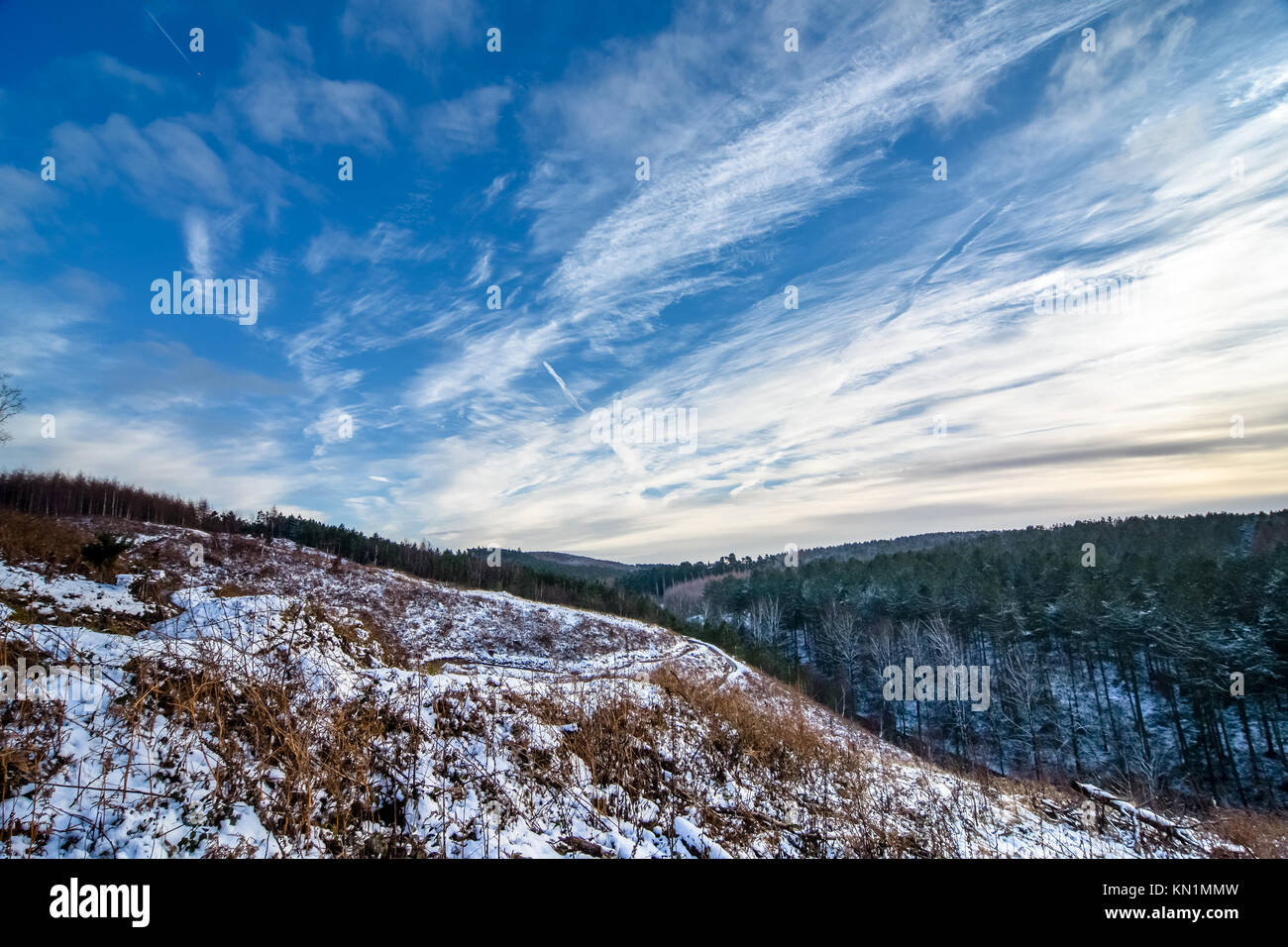 Une autre nuit de neige à travers les Midlands signifiait pour un beau début pour samedi matin. Plus de neige plus lourde est prévue pour dimanche à lundi pour le début de la semaine de travail. Banque D'Images