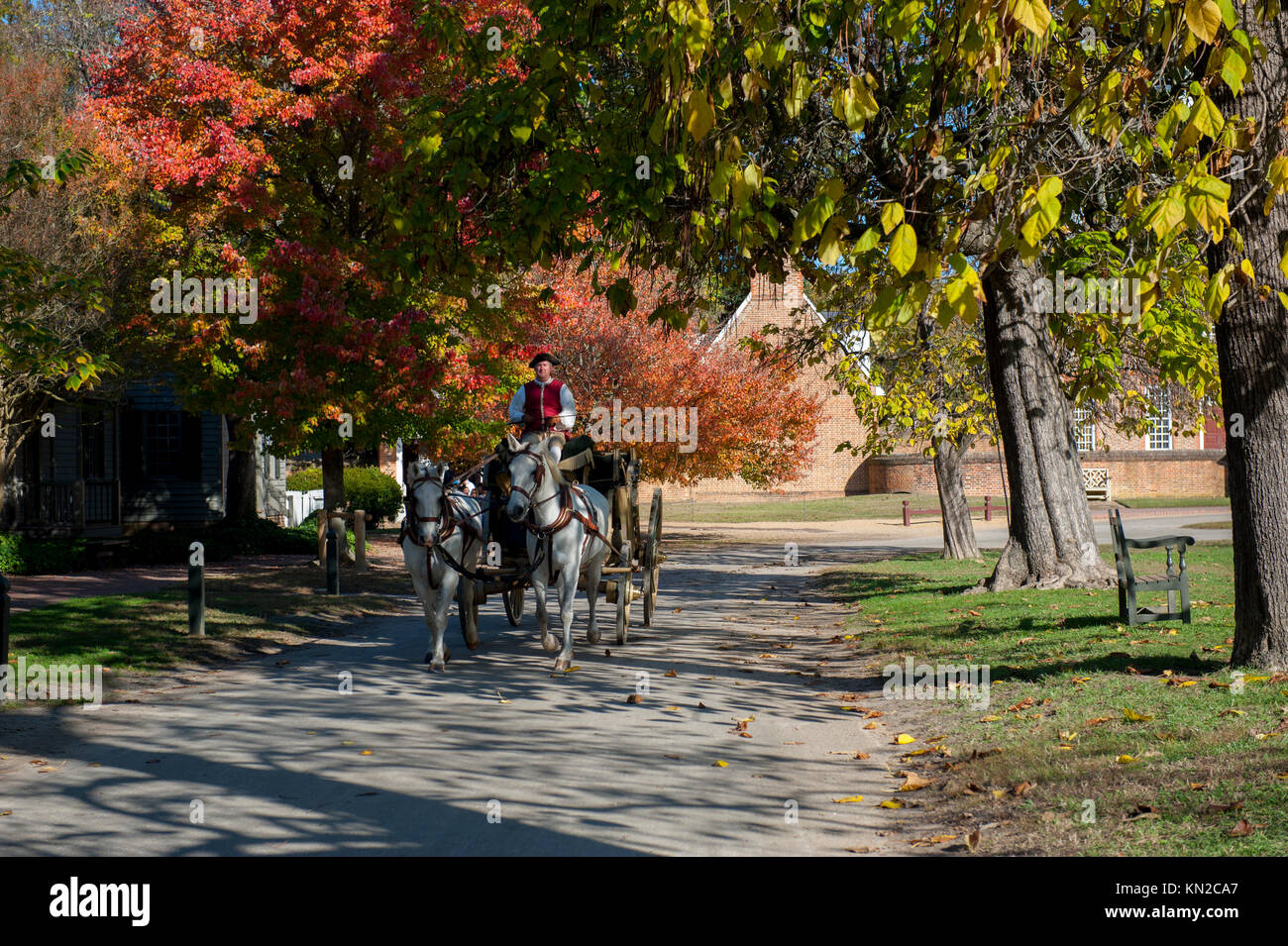 USA Virginia VA Williamsburg Colonial collection automne automne un homme conduisant une calèche sous les arbres des feuilles d'automne Banque D'Images