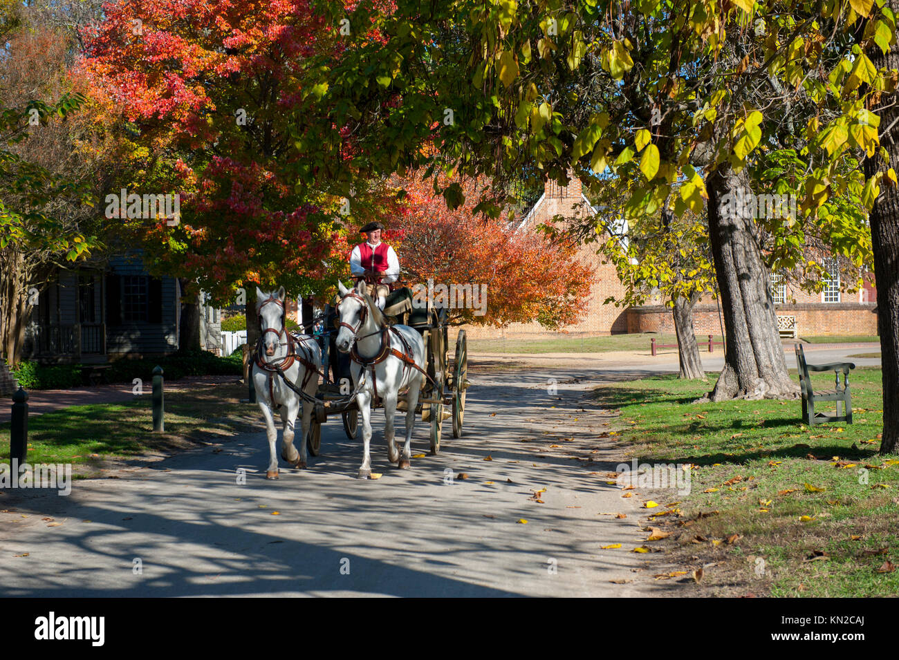USA Virginia VA Williamsburg Colonial collection automne automne un homme conduisant une calèche sous les arbres des feuilles d'automne Banque D'Images