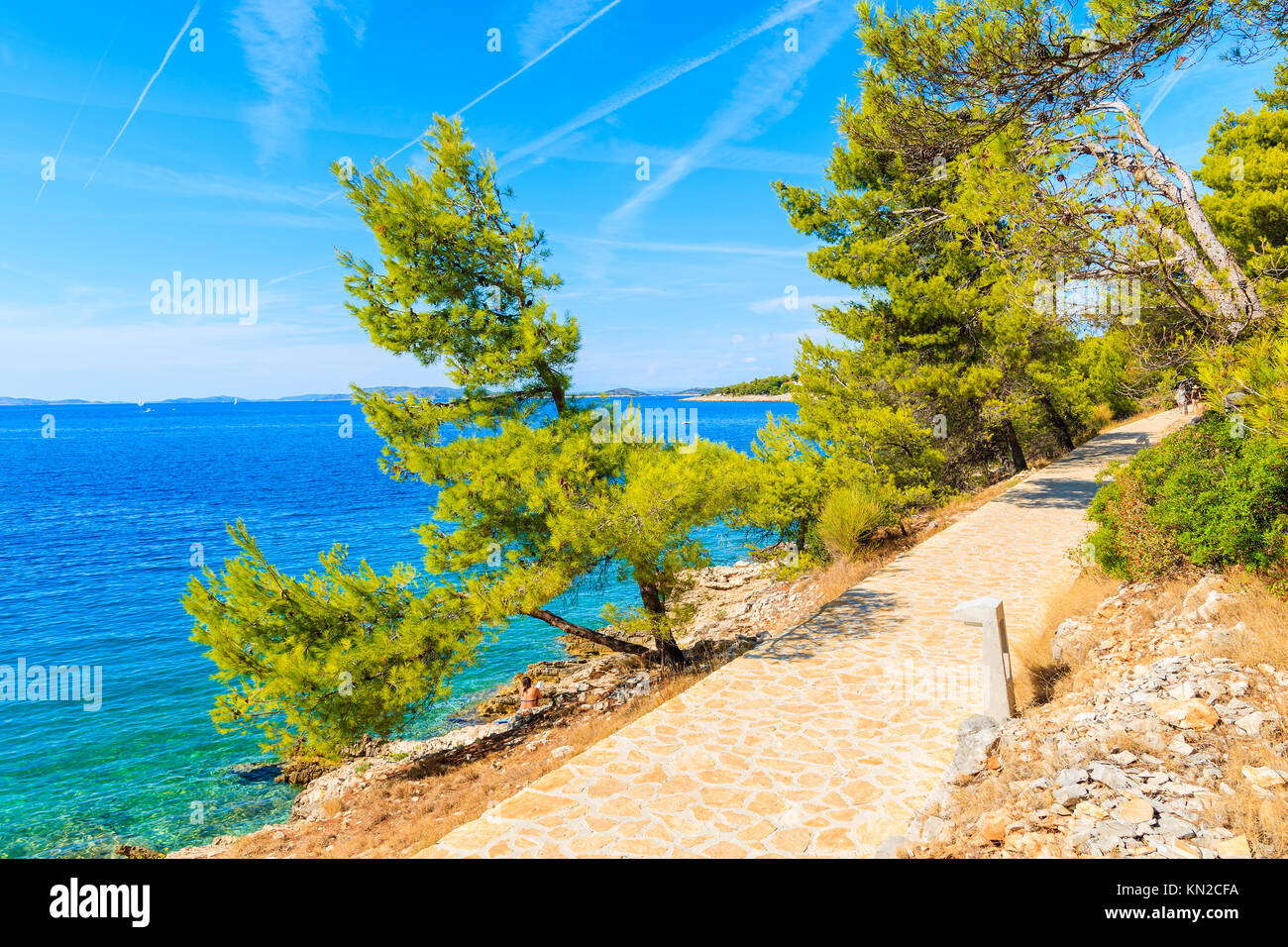 Chemin des pins le long vert avec une vue magnifique sur la mer près de la ville de Primosten, Croatie, Dalmatie Banque D'Images