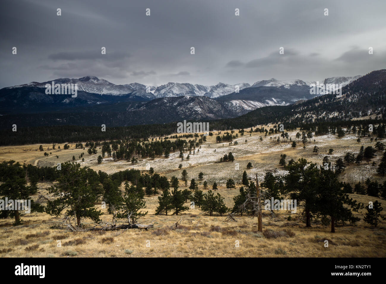 La Beaver Meadows, et Longs Peak. Estes Park, Colorado. Banque D'Images