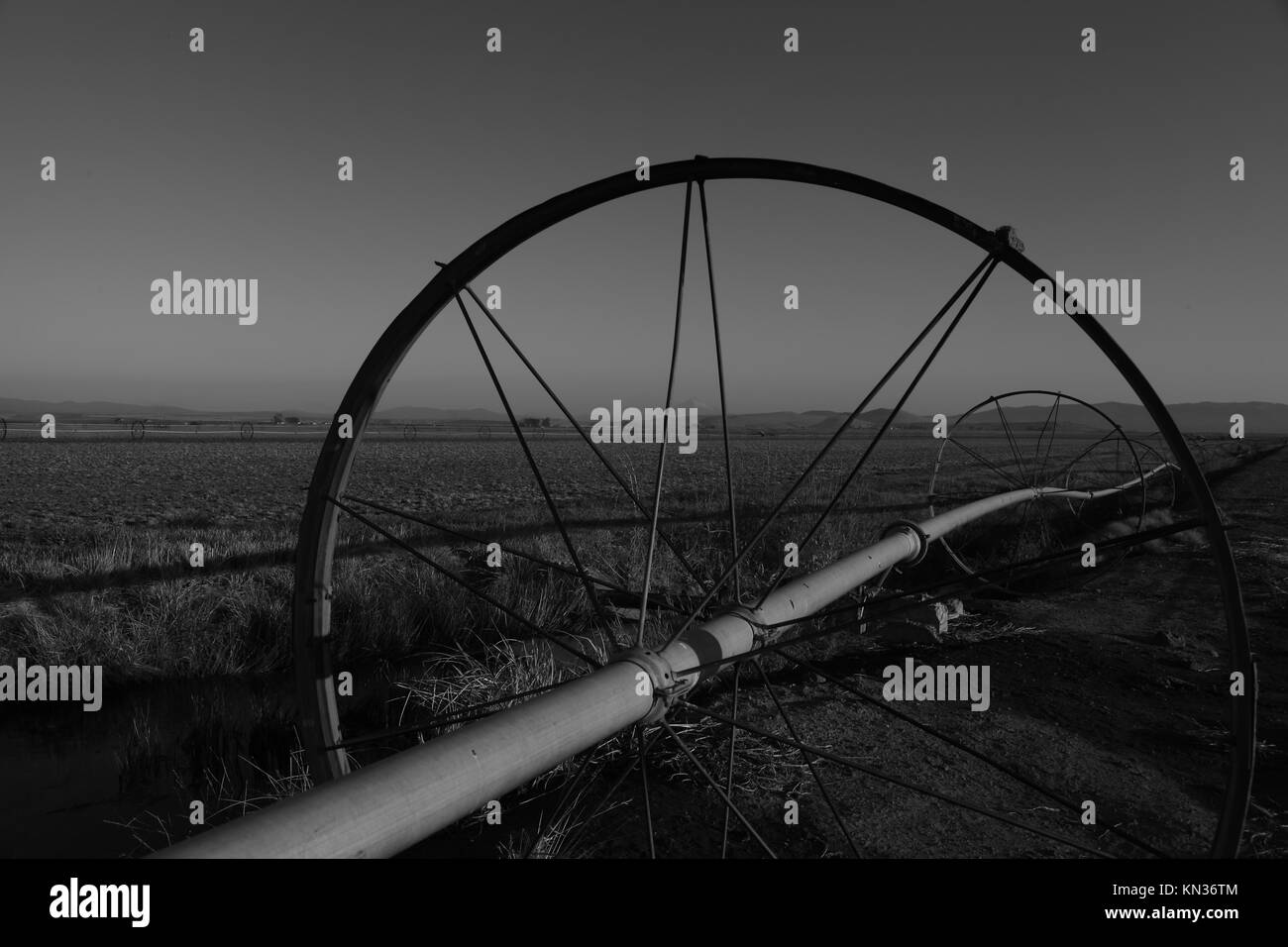 De l'Oregon à Madras sprinkleur Banque D'Images