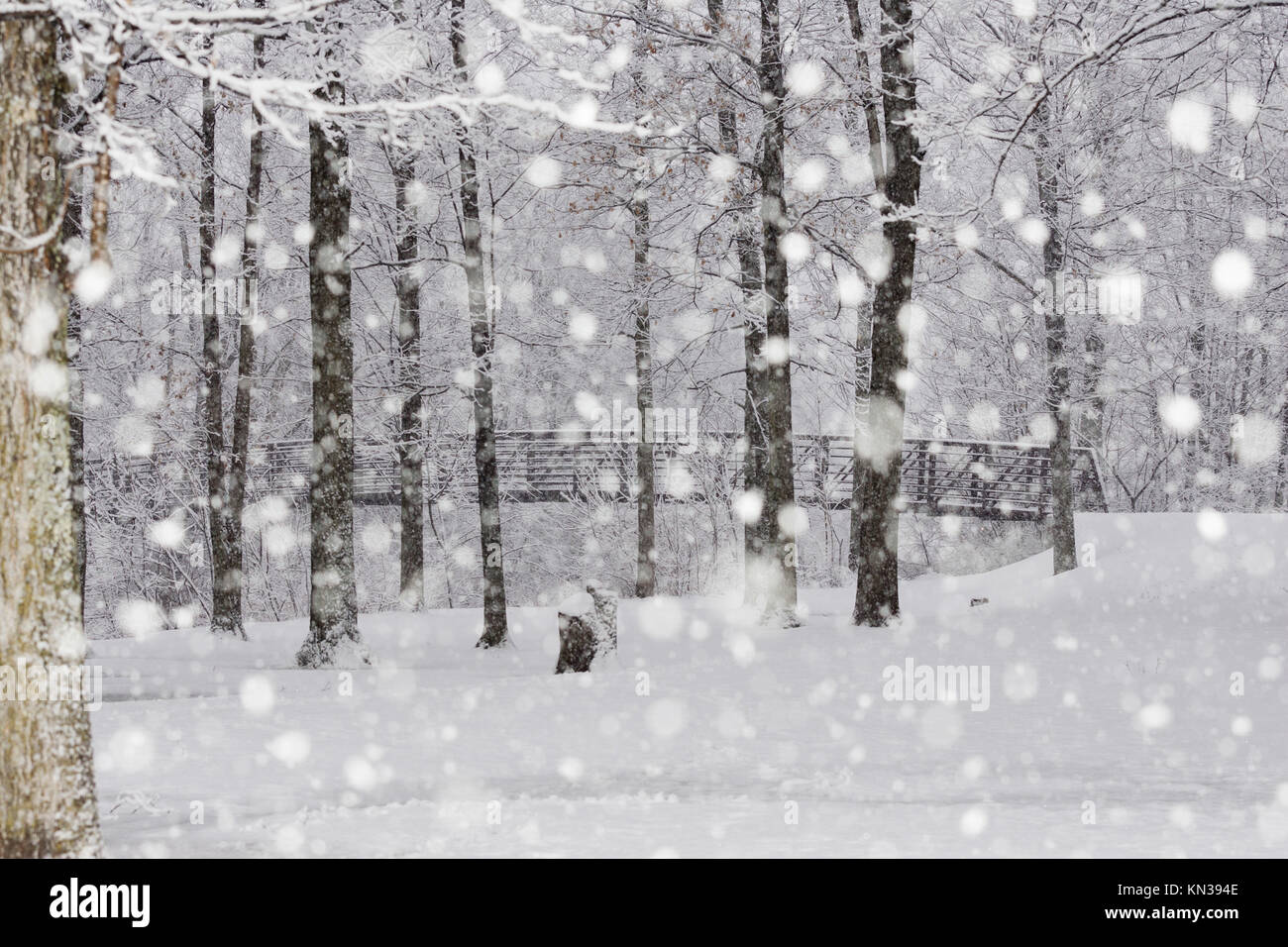 La Neige Qui Tombe Dans Une Foret Et Un Pont Pour Pietons Stowe Vermont Usa Photo Stock Alamy