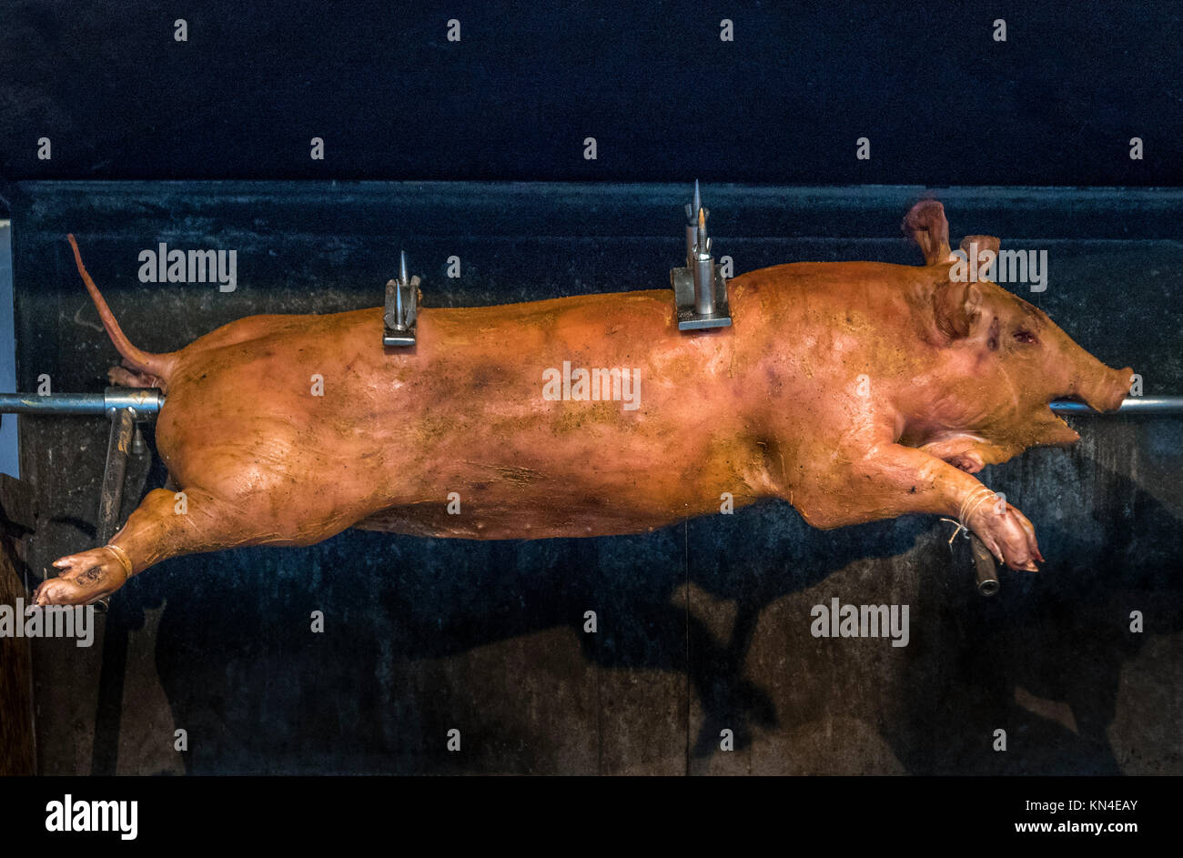 Cochon de lait Banque de photographies et d’images à haute résolution