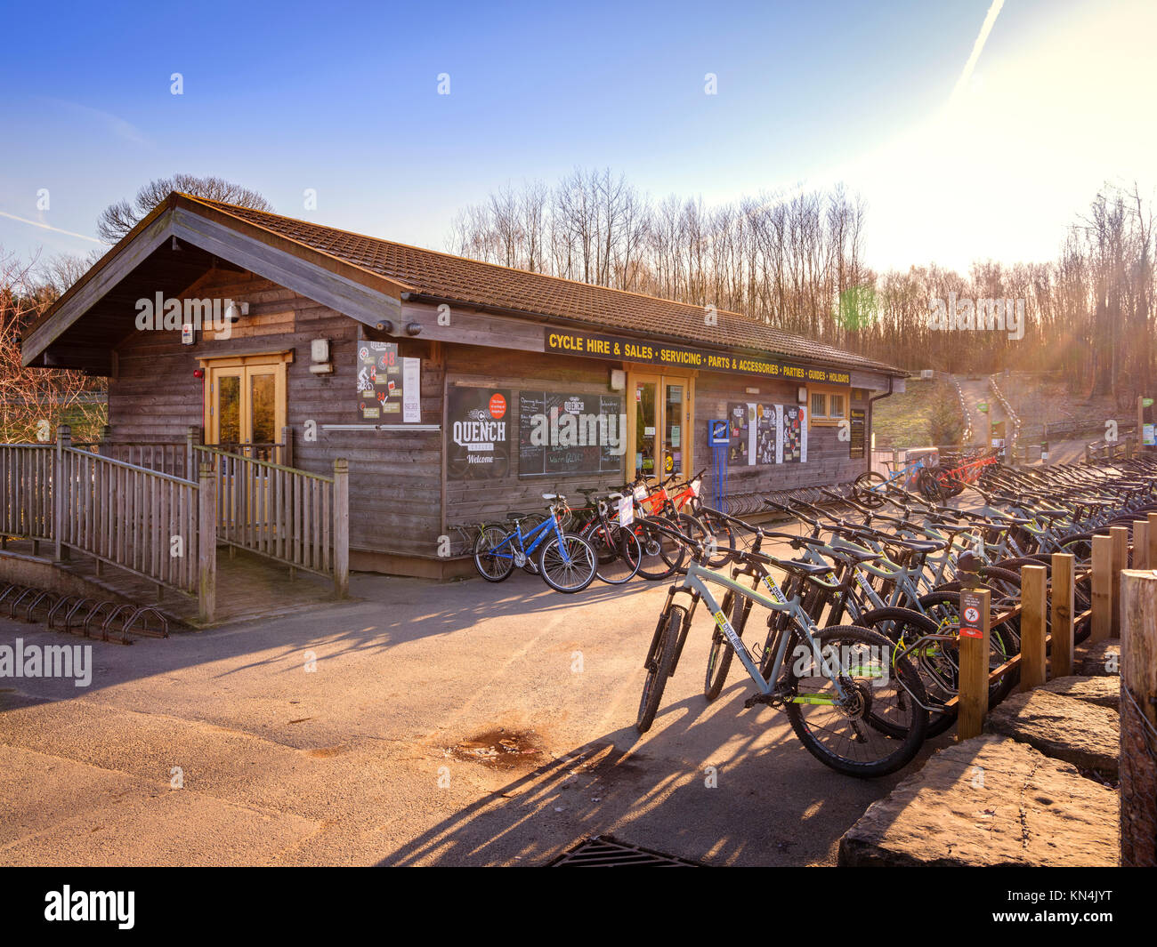 Boutique de location de vélos Quench au Bedgebury National Pinetum and Forest, à la frontière Sussex/Kent. Banque D'Images