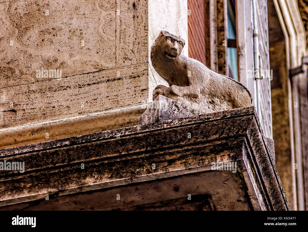 Italie Lazio Rome Via della Gatta broche chat Banque D'Images